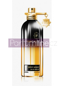 Montale Paris Spicy Aoud, Parfumovaná voda 100ml - Tester