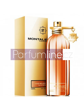 Montale Aoud Melody, Parfumovaná voda 100ml