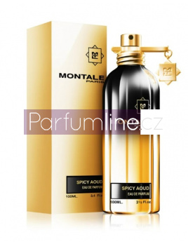 Montale Paris Spicy Aoud, Parfumovaná voda 100ml