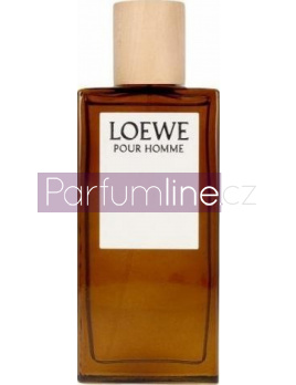 Loewe Loewe Pour Homme, Toaletní voda 100ml - Tester