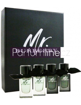 Burberry Mr. Burberry SET: 2x Mr. Burberry Parfumovaná voda 5ml + 2x Mr. Burberry Toaletní voda 5ml